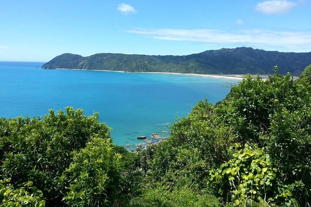 Wainui Bay in Golden Bay